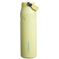 The Iceflow Bottle with Flip Straw Lid